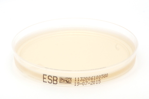 40 1132 enterokokken selektiv agar nach slanetz und bartley esb xebios diagnostics