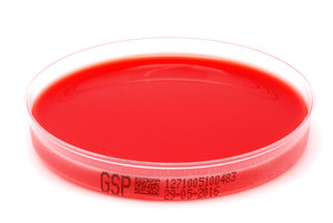 1271 glutamin st%c3%a4rke phenolrot agar gsp xebios